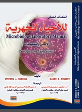 الأحياء المجهرية الأحياء المجهرية