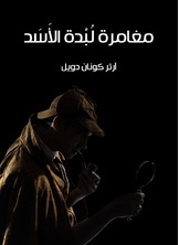 مغامرة لبدة الاسد مغامرة لبدة الاسد